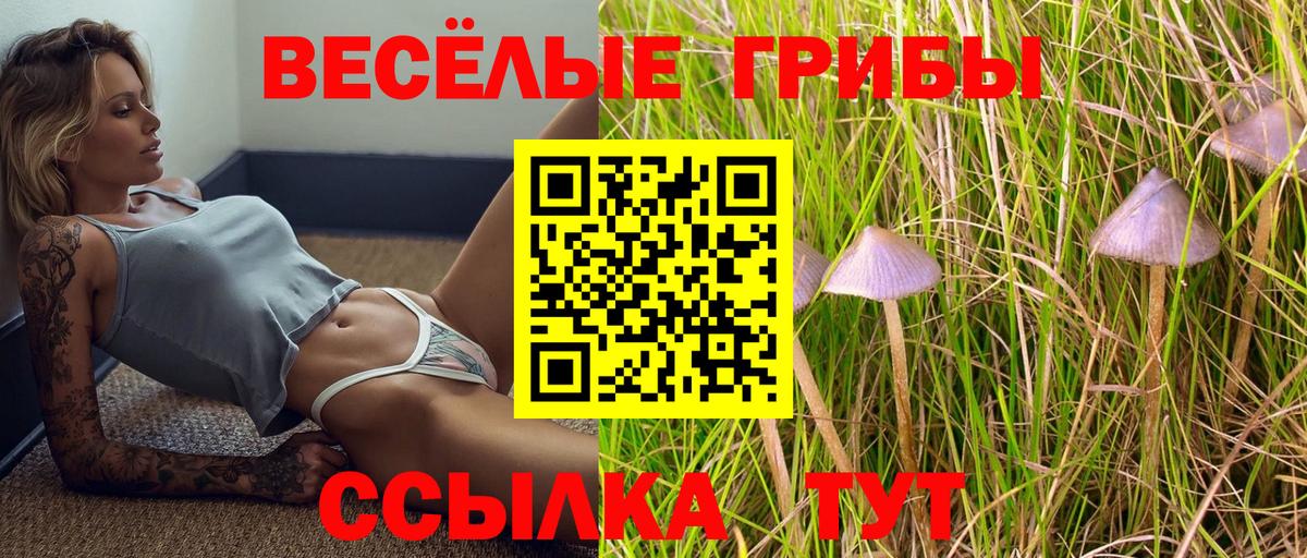 Тольятти  Галлюциногенные грибы Psilocybe  Вход с VPN 